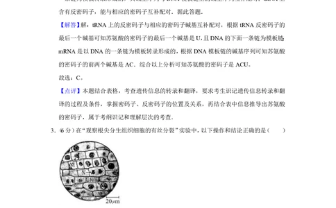 2010年高考生物试卷（天津）（解析卷）_生物历年高考真题_新&middot;PDF版2008-2025&middot;高考生物真题_生物（按试卷类型分类）2008-2025_自主命题卷&middot;生物（2008-2025）_天津自主命题&middot;生物（2008-2024）