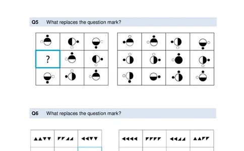 LogicalReasoningTest10-Questions_2025春招题库汇总_十大行测题库_2023年十大热门题库更新中_05、TalentQ汇总_TalentQ测试题（适合大多数外资银行以及其他企业）_LogicalReasoning