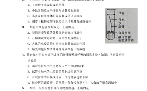 2011年高考生物试卷（山东）（空白卷）_生物历年高考真题_新&middot;Word版2008-2025&middot;高考生物真题_生物（按试卷类型分类）2008-2025_自主命题卷&middot;生物（2008-2025）