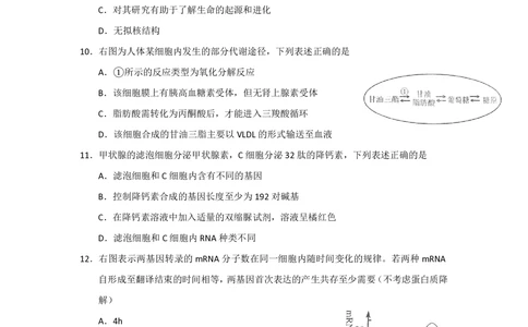 2011年高考生物试卷（上海）（解析卷）_生物历年高考真题_新&middot;PDF版2008-2025&middot;高考生物真题_生物（按年份分类）2008-2025_2011&middot;高考生物真题