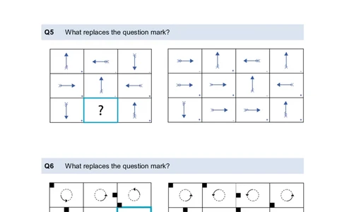 LogicalReasoningTest4-Questions_2025春招题库汇总_八大题库-1_04八大汇总_信永中和_专业题综合知识-参考_英文题_LogicalReasoningTests