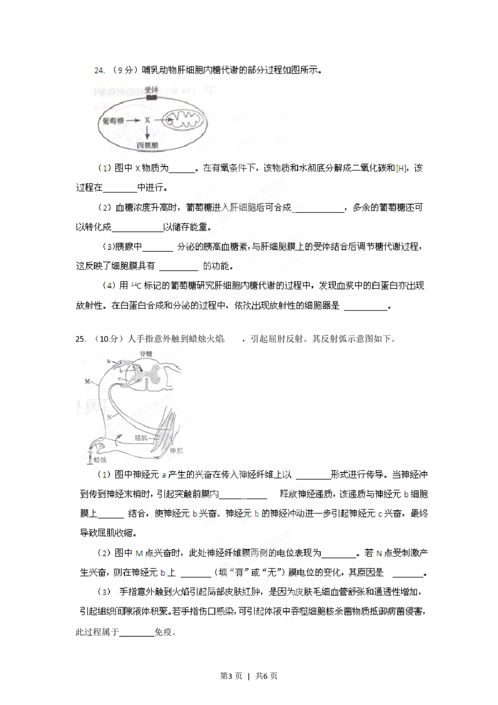 2012年高考生物试卷（山东）（空白卷）_生物历年高考真题_新&middot;PDF版2008-2025&middot;高考生物真题_生物（按试卷类型分类）2008-2025_自主命题卷&middot;生物（2008-2025）