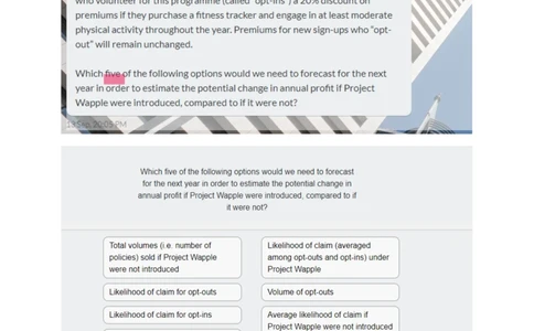 BCG保险_2025春招题库汇总_咨询题库_2023咨询公司合集（7家）_2023波士顿_Casey真题合辑（重点！！）_Vivita保险