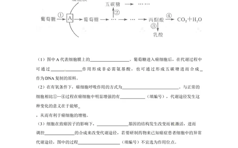 2012年高考生物试卷（四川）（空白卷）_生物历年高考真题_新&middot;Word版2008-2025&middot;高考生物真题_生物（按省份分类）2008-2025_2008-2024&middot;（四川）生物高考真题