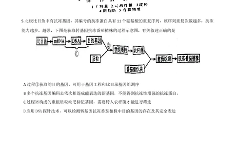 2011年高考生物试卷（四川）（空白卷）_生物历年高考真题_新&middot;Word版2008-2025&middot;高考生物真题_生物（按试卷类型分类）2008-2025_自主命题卷&middot;生物（2008-2025）_四川自主命题&middot;生物（2008-2016）