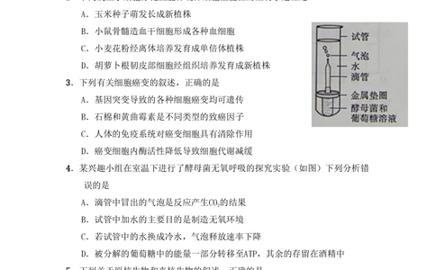 2011年高考生物试卷（山东）（解析卷）_生物历年高考真题_新&middot;PDF版2008-2025&middot;高考生物真题_生物（按年份分类）2008-2025_2011&middot;高考生物真题