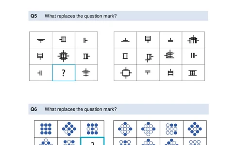 LogicalReasoningTest3-Questions_2025春招题库汇总_十大行测题库_2023年十大热门题库更新中_05、TalentQ汇总_TalentQ测试题（适合大多数外资银行以及其他企业）_LogicalReasoning