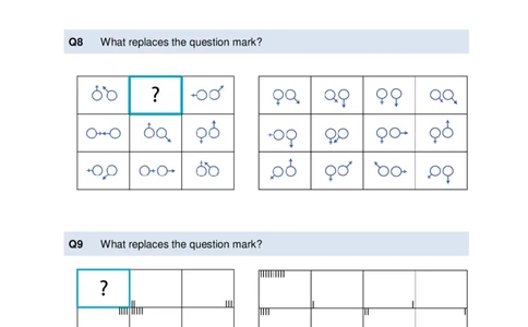 LogicalReasoningTest3-Questions_2025春招题库汇总_十大行测题库_2023年十大热门题库更新中_05、TalentQ汇总_TalentQ测试题（适合大多数外资银行以及其他企业）_LogicalReasoning