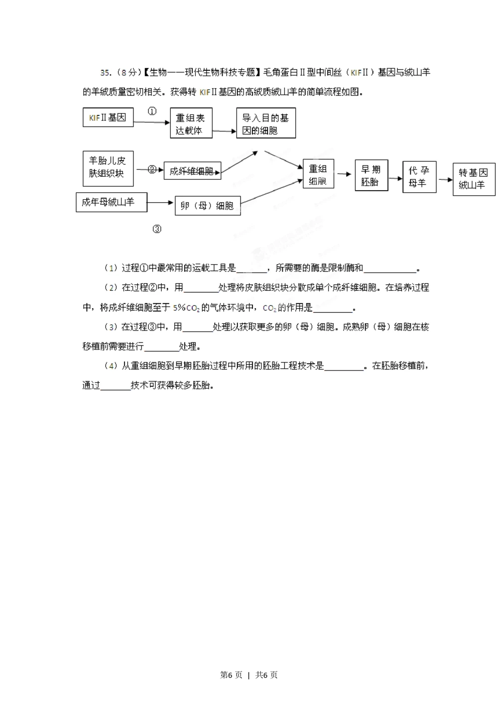 2012年高考生物试卷（山东）（空白卷）_生物历年高考真题_新&middot;PDF版2008-2025&middot;高考生物真题_生物（按省份分类）2008-2025_2008-2025&middot;（山东）生物高考真题