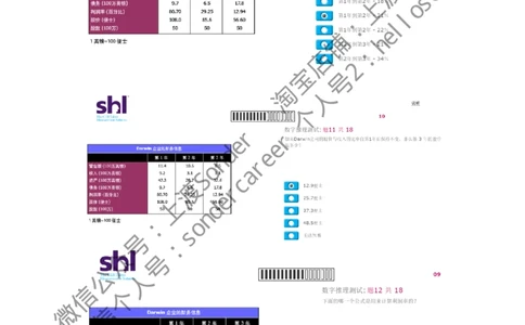 4-20160809-KPMG_2025春招题库汇总_十大行测题库_2023年十大热门题库更新中_11、SH-1汇总_按年份分类_2016年新题