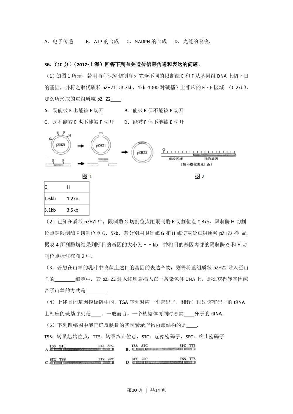 2012年高考生物试卷（上海）（空白卷）_生物历年高考真题_新&middot;PDF版2008-2025&middot;高考生物真题_生物（按试卷类型分类）2008-2025_自主命题卷&middot;生物（2008-2025）_上海自主命题&middot;生物（2008-2022）