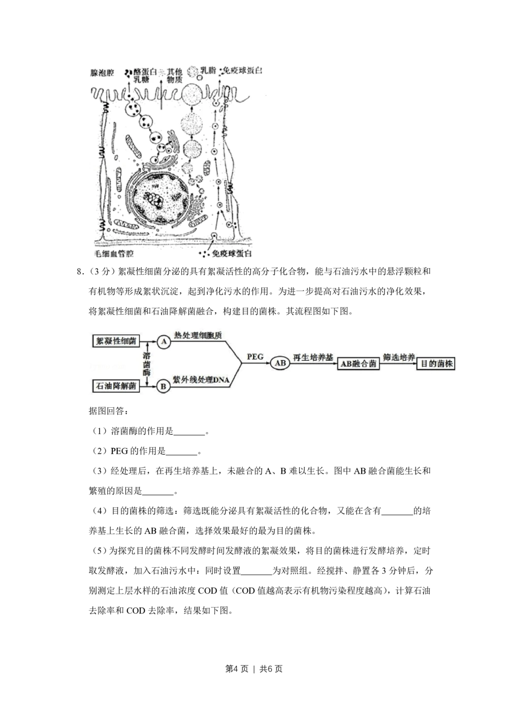 2011年高考生物试卷（天津）（空白卷）_生物历年高考真题_新&middot;PDF版2008-2025&middot;高考生物真题_生物（按年份分类）2008-2025_2011&middot;高考生物真题