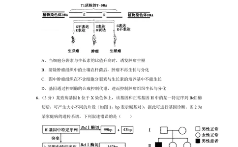 2011年高考生物试卷（天津）（空白卷）_生物历年高考真题_新&middot;PDF版2008-2025&middot;高考生物真题_生物（按年份分类）2008-2025_2011&middot;高考生物真题