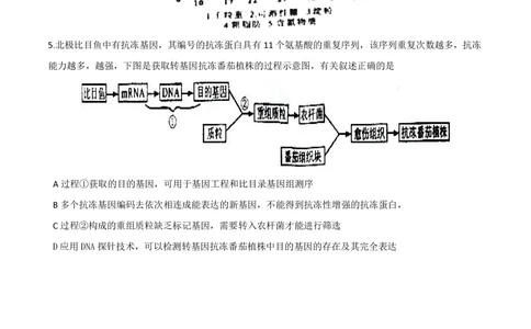 2011年高考生物试卷（四川）（空白卷）_生物历年高考真题_新&middot;PDF版2008-2025&middot;高考生物真题_生物（按省份分类）2008-2025_2008-2024&middot;（四川）生物高考真题