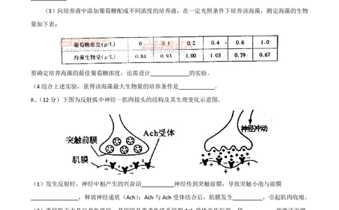 2011年高考生物试卷（四川）（空白卷）_生物历年高考真题_新&middot;PDF版2008-2025&middot;高考生物真题_生物（按省份分类）2008-2025_2008-2024&middot;（四川）生物高考真题