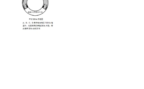 2011年高考生物试卷（北京）（空白卷）_生物历年高考真题_新&middot;PDF版2008-2025&middot;高考生物真题_生物（按试卷类型分类）2008-2025_自主命题卷&middot;生物（2008-2025）_北京自主命题&middot;生物（2008-2025）