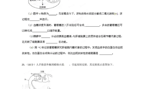 2012年高考生物试卷（山东）（空白卷）_生物历年高考真题_新&middot;Word版2008-2025&middot;高考生物真题_生物（按试卷类型分类）2008-2025_自主命题卷&middot;生物（2008-2025）