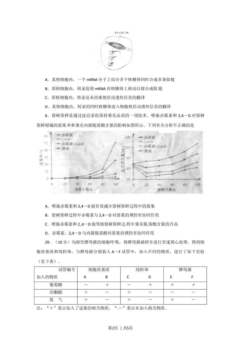 2012年高考生物试卷（安徽）（空白卷）_生物历年高考真题_新&middot;Word版2008-2025&middot;高考生物真题_生物（按省份分类）2008-2025_2012-2025&middot;（安徽）生物高考真题