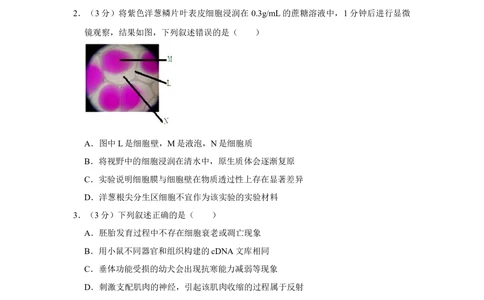 2011年高考生物试卷（天津）（空白卷）_生物历年高考真题_新&middot;Word版2008-2025&middot;高考生物真题_生物（按试卷类型分类）2008-2025_自主命题卷&middot;生物（2008-2025）_天津自主命题&middot;生物（2008-2024）