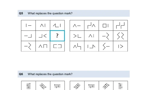 LogicalReasoningTest5-Questions_2025春招题库汇总_八大题库-1_04八大汇总_信永中和_专业题综合知识-参考_英文题_LogicalReasoningTests