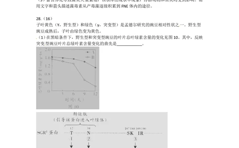 2012年高考生物试卷（广东）（空白卷）_生物历年高考真题_新&middot;PDF版2008-2025&middot;高考生物真题_生物（按省份分类）2008-2025_2008-2025&middot;（广东）生物高考真题