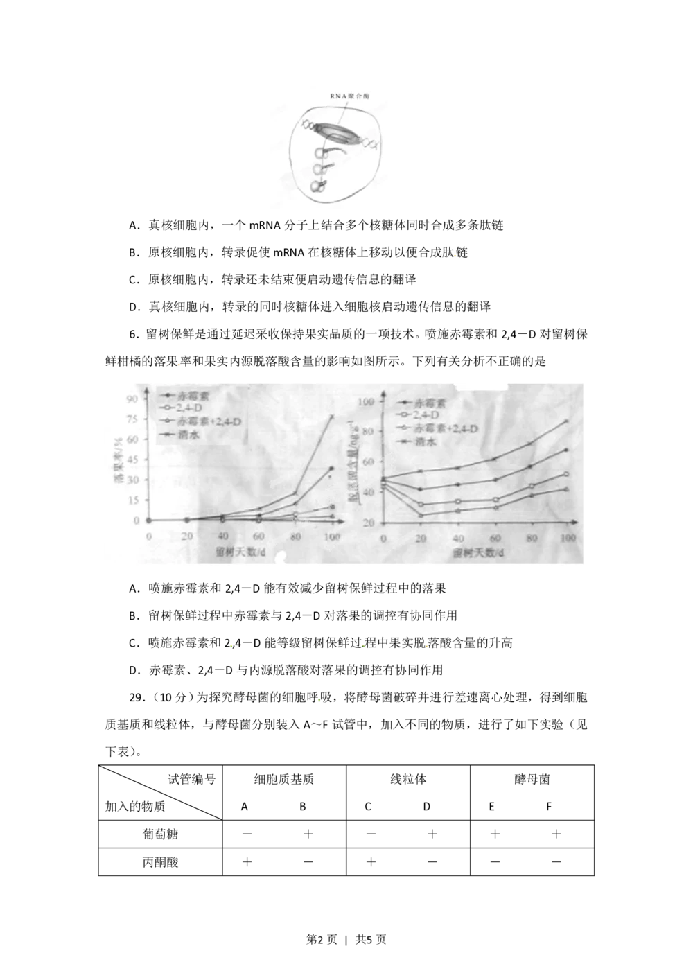 2012年高考生物试卷（安徽）（空白卷）_生物历年高考真题_新&middot;PDF版2008-2025&middot;高考生物真题_生物（按省份分类）2008-2025_2012-2025&middot;（安徽）生物高考真题