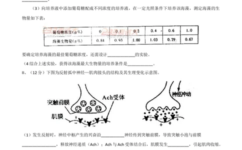 2011年高考生物试卷（四川）（空白卷）_生物历年高考真题_新&middot;Word版2008-2025&middot;高考生物真题_生物（按省份分类）2008-2025_2008-2024&middot;（四川）生物高考真题