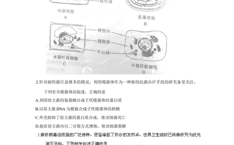 2012年高考生物试卷（重庆）（空白卷）_生物历年高考真题_新&middot;Word版2008-2025&middot;高考生物真题_生物（按省份分类）2008-2025_2012-2024&middot;（重庆）生物高考真题