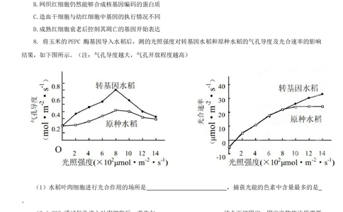 2013年高考生物试卷（四川）（空白卷）_生物历年高考真题_新&middot;Word版2008-2025&middot;高考生物真题_生物（按年份分类）2008-2025_2013&middot;高考生物真题