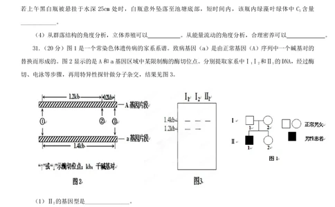 2013年高考生物试卷（安徽）（空白卷）_生物历年高考真题_新&middot;PDF版2008-2025&middot;高考生物真题_生物（按试卷类型分类）2008-2025_自主命题卷&middot;生物（2008-2025）