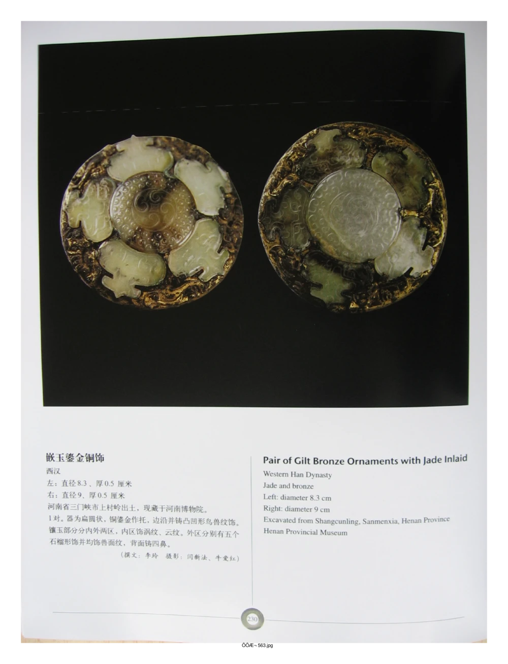 中国出土玉器全集(5)河南_部分4_X018-玉石珠宝鉴定教程最新合集_5、玉石鉴定专题全套课程_玉石电子书_中国出土玉石全集