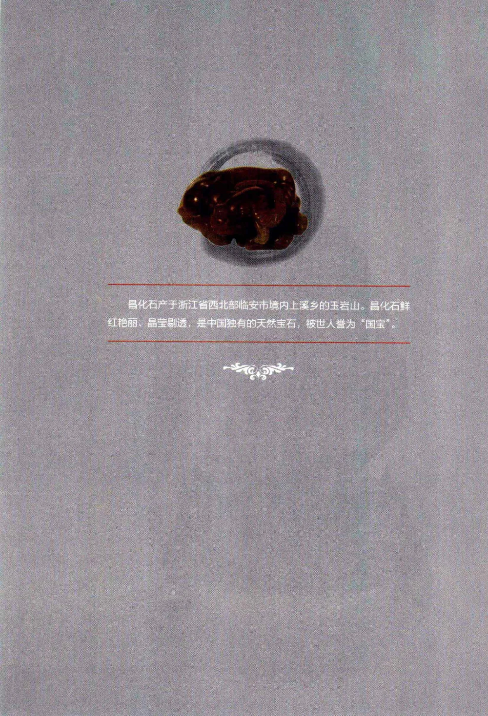 中国玉石玉雕收藏鉴赏彩印__X018-玉石珠宝鉴定教程最新合集_5、玉石鉴定专题全套课程_玉石电子书_玉石电子书