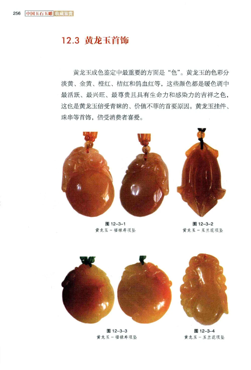 中国玉石玉雕收藏鉴赏彩印__X018-玉石珠宝鉴定教程最新合集_5、玉石鉴定专题全套课程_玉石电子书_玉石电子书