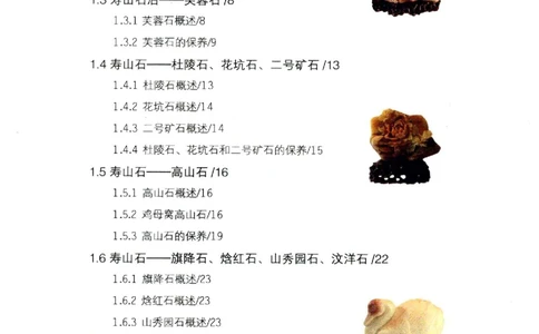 中国玉石玉雕收藏鉴赏彩印__X018-玉石珠宝鉴定教程最新合集_5、玉石鉴定专题全套课程_玉石电子书_玉石电子书