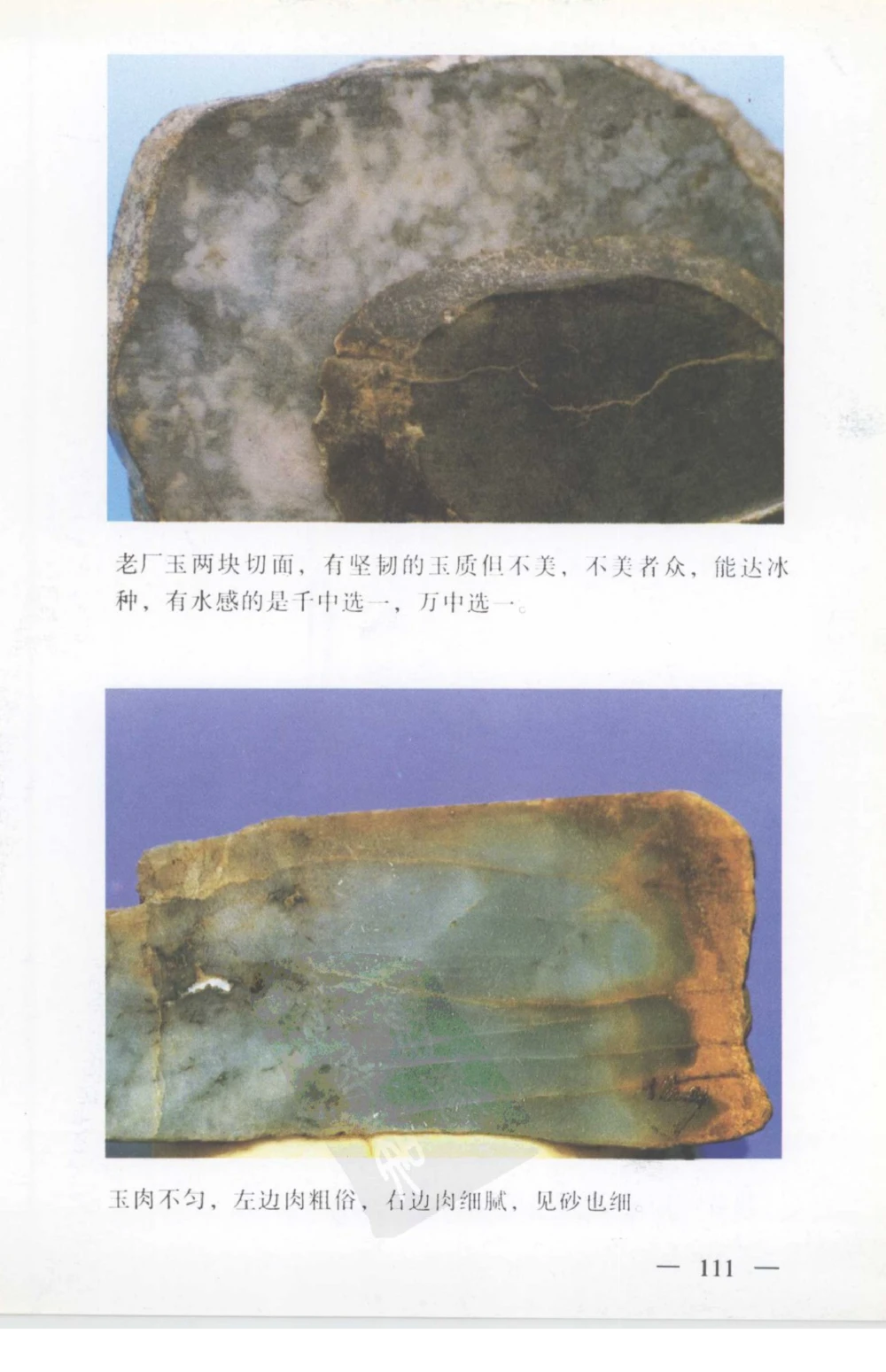 云南相玉学_X018-玉石珠宝鉴定教程最新合集_5、玉石鉴定专题全套课程_玉石电子书_玉石电子书