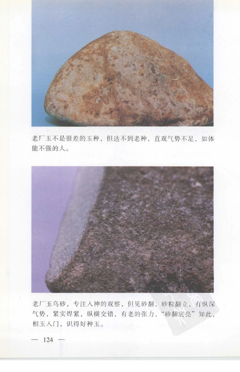 云南相玉学_X018-玉石珠宝鉴定教程最新合集_5、玉石鉴定专题全套课程_玉石电子书_玉石电子书