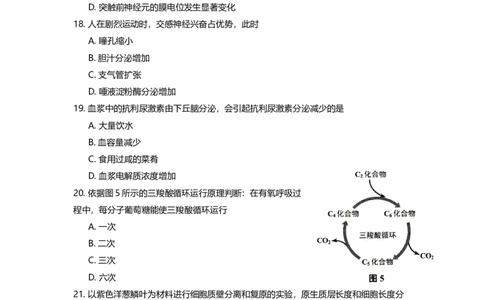 2014年高考生物试卷（上海）（空白卷）_生物历年高考真题_新&middot;Word版2008-2025&middot;高考生物真题_生物（按年份分类）2008-2025_2014&middot;高考生物真题