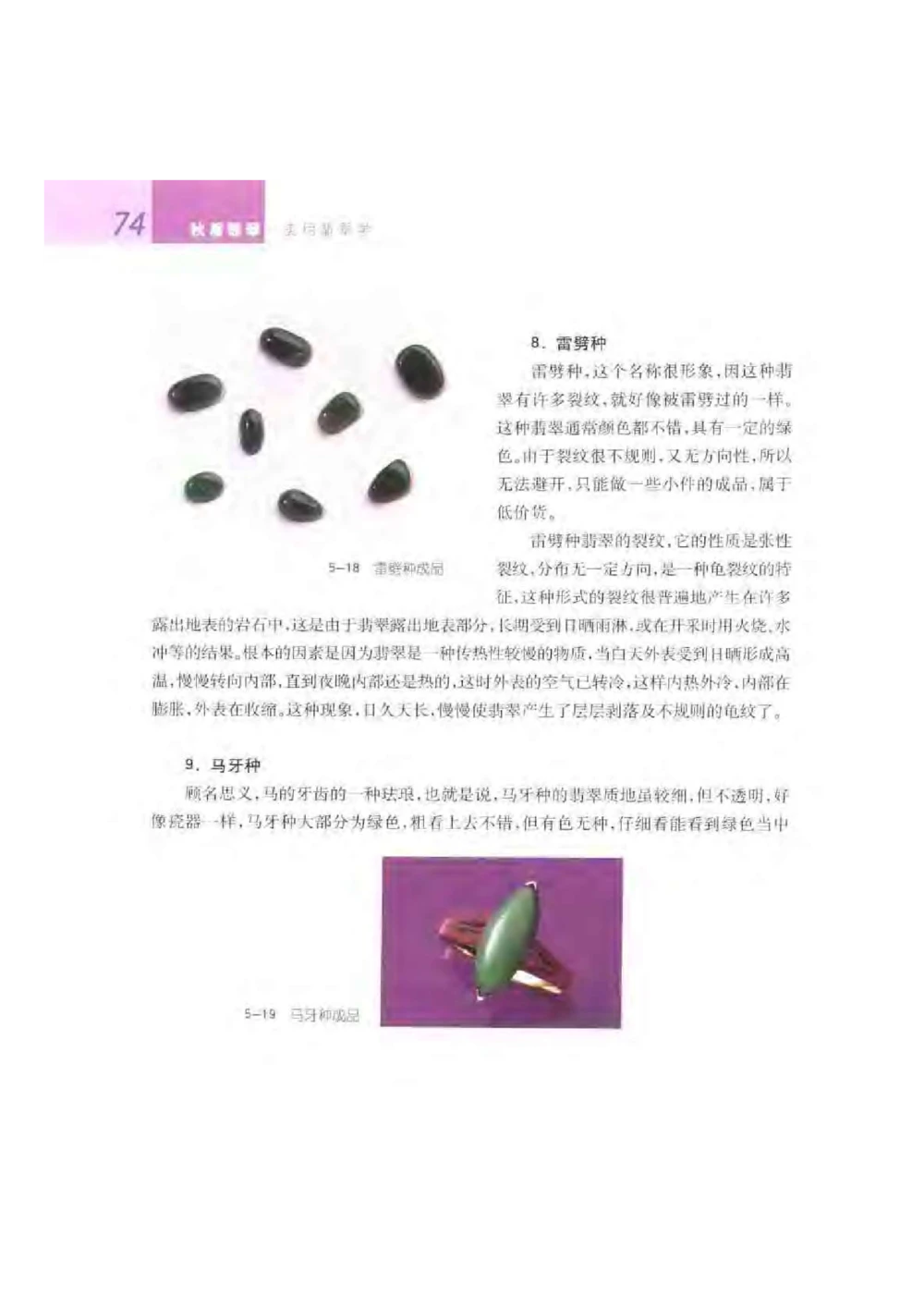 《秋梅翡翠》电子版_X018-玉石珠宝鉴定教程最新合集_6、翡翠鉴定专题全套课程_翡翠电子书_翡翠鉴赏_51-60