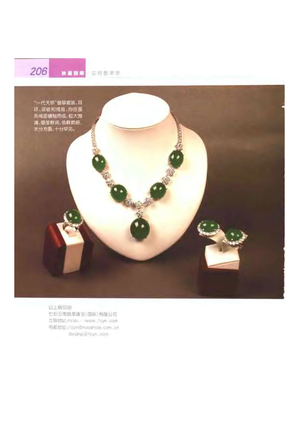 《秋梅翡翠》电子版_X018-玉石珠宝鉴定教程最新合集_6、翡翠鉴定专题全套课程_翡翠电子书_翡翠鉴赏_51-60