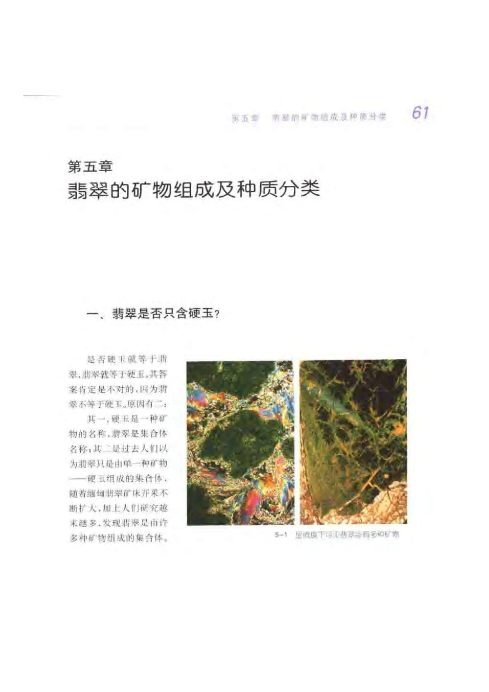 《秋梅翡翠》电子版_X018-玉石珠宝鉴定教程最新合集_6、翡翠鉴定专题全套课程_翡翠电子书_翡翠鉴赏_51-60