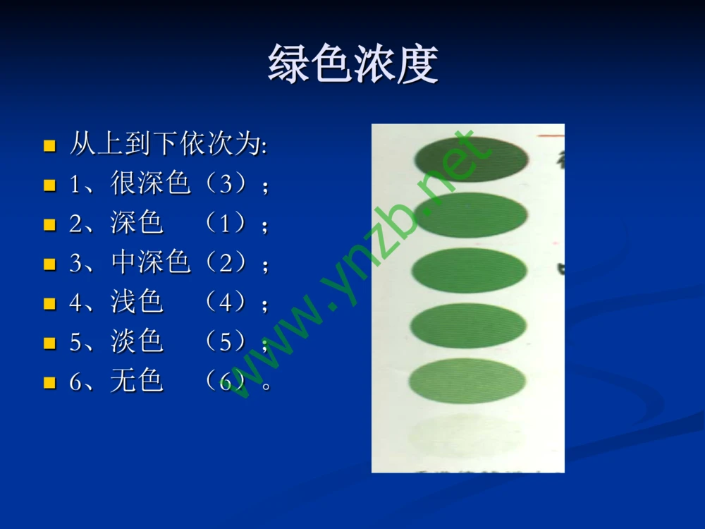 历史悠久的四大名玉：和田玉、岫玉、独山玉和绿松石_X018-玉石珠宝鉴定教程最新合集_7、和田玉鉴定专题全套课程_和田玉电子书