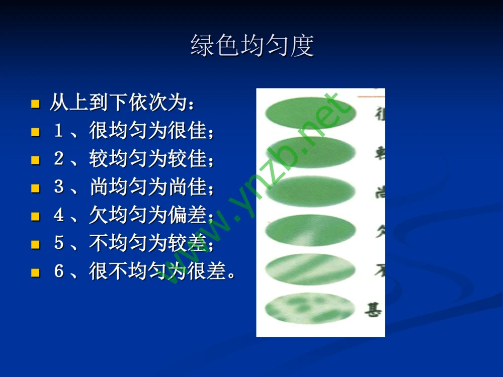 历史悠久的四大名玉：和田玉、岫玉、独山玉和绿松石_X018-玉石珠宝鉴定教程最新合集_7、和田玉鉴定专题全套课程_和田玉电子书