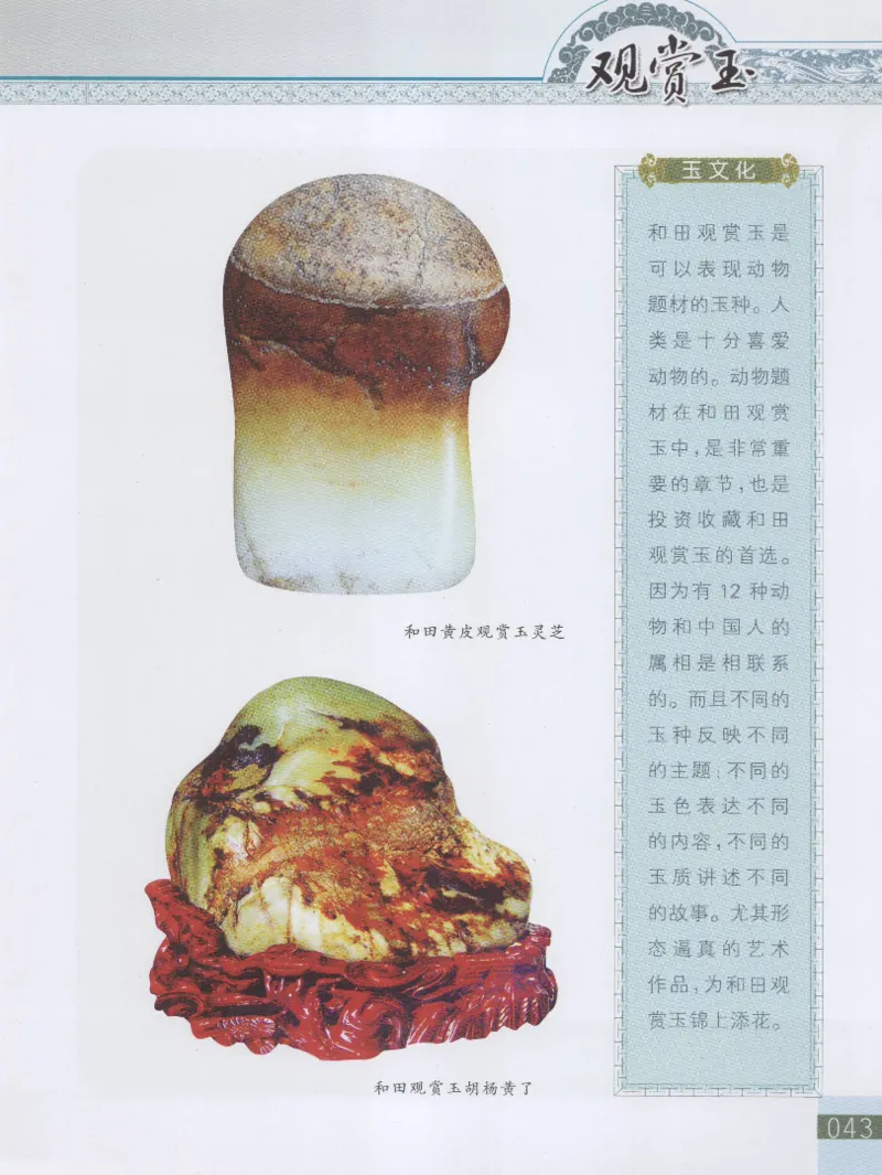 中国新疆和田玉观赏玉__X018-玉石珠宝鉴定教程最新合集_7、和田玉鉴定专题全套课程_和田玉电子书