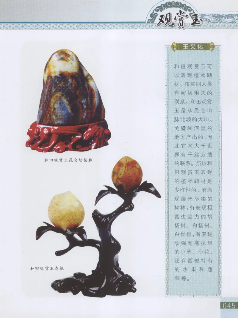 中国新疆和田玉观赏玉__X018-玉石珠宝鉴定教程最新合集_7、和田玉鉴定专题全套课程_和田玉电子书