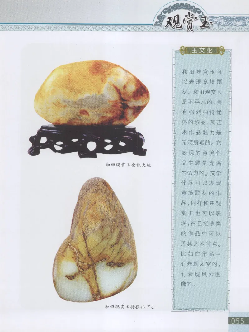 中国新疆和田玉观赏玉__X018-玉石珠宝鉴定教程最新合集_7、和田玉鉴定专题全套课程_和田玉电子书