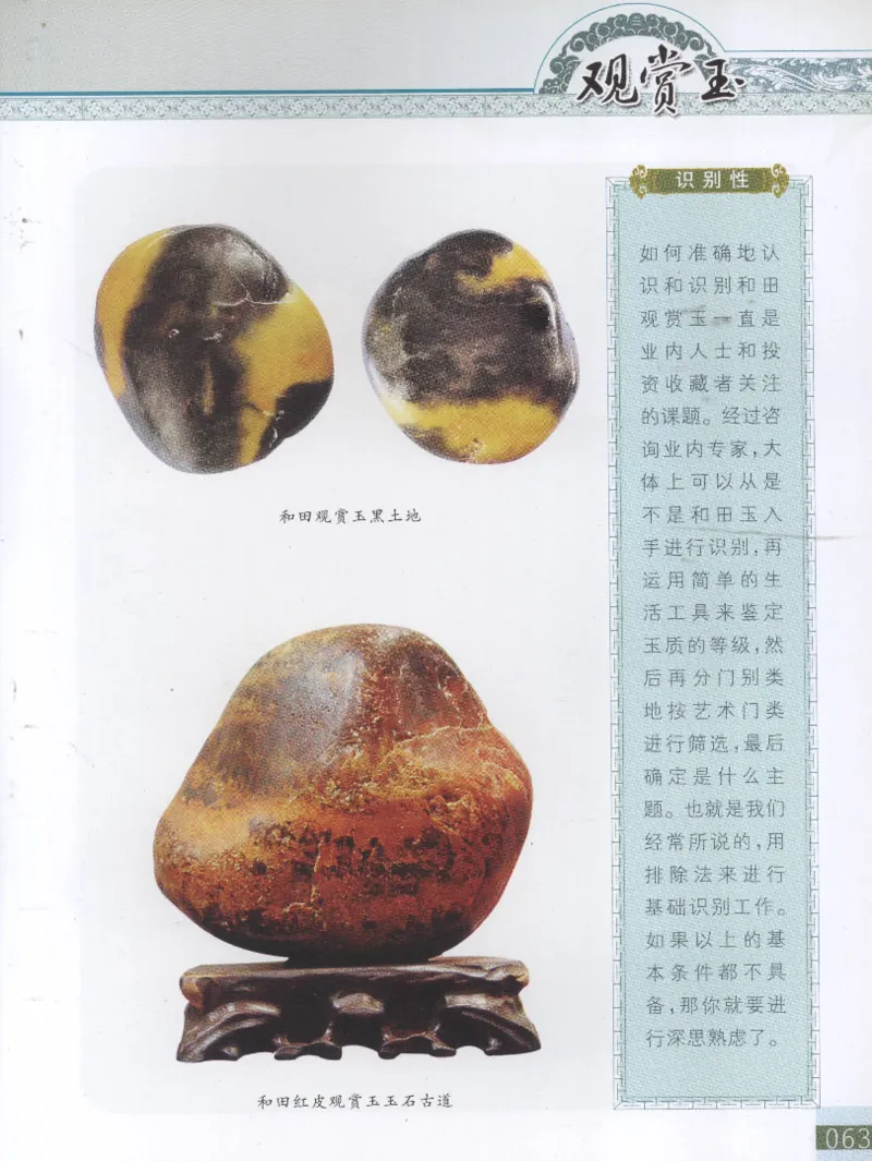 中国新疆和田玉观赏玉__X018-玉石珠宝鉴定教程最新合集_7、和田玉鉴定专题全套课程_和田玉电子书