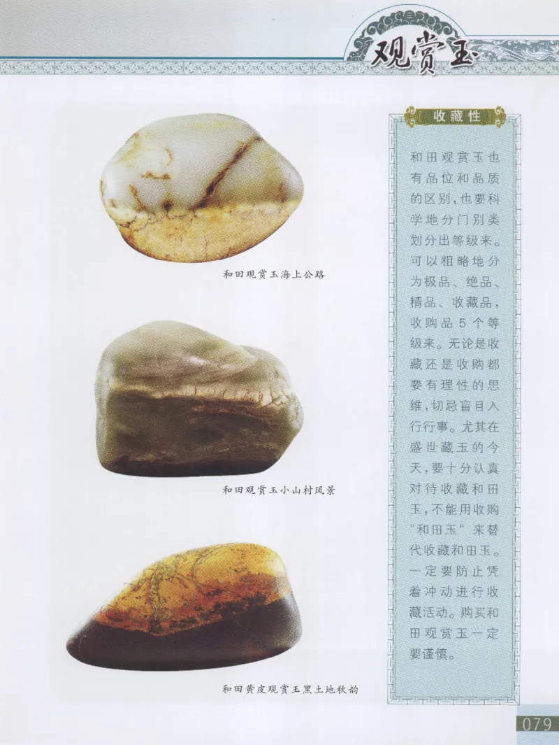 中国新疆和田玉观赏玉__X018-玉石珠宝鉴定教程最新合集_7、和田玉鉴定专题全套课程_和田玉电子书