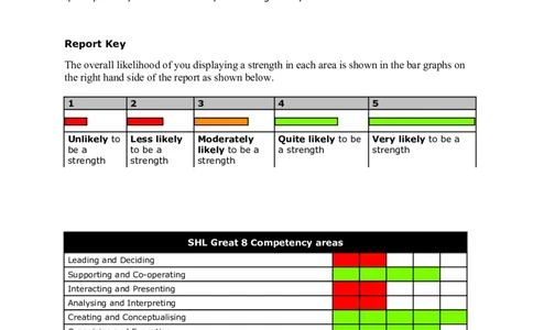 SHL-性格测试官网个人测试-适用社聘5年以上工作经验Report_2025春招题库汇总_十大行测题库_2023年十大热门题库更新中_11、SH-1汇总_CEBSHL测试报告解读（知己知彼战无不胜）