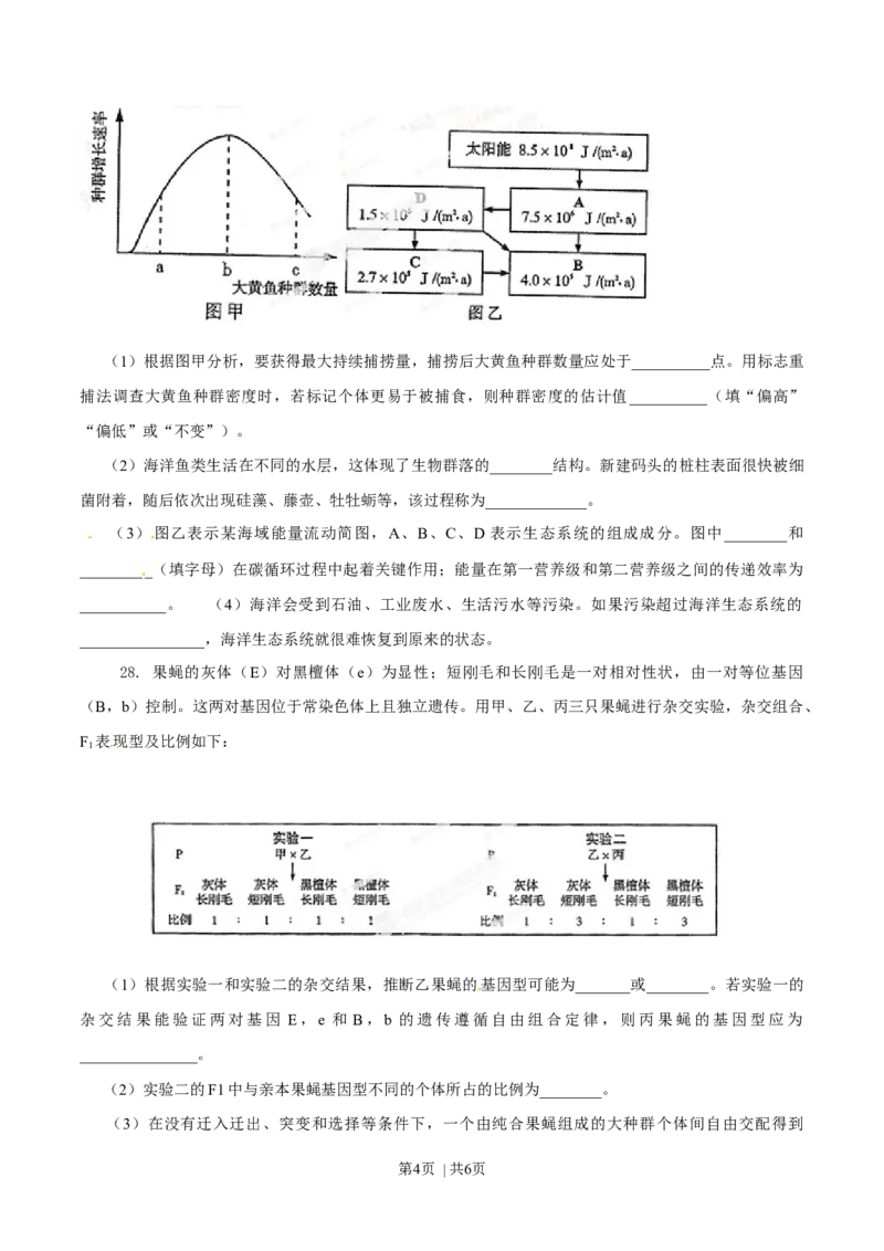 2014年高考生物试卷（山东）（空白卷）_生物历年高考真题_新&middot;Word版2008-2025&middot;高考生物真题_生物（按年份分类）2008-2025_2014&middot;高考生物真题