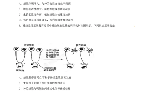 2014年高考生物试卷（山东）（空白卷）_生物历年高考真题_新&middot;Word版2008-2025&middot;高考生物真题_生物（按年份分类）2008-2025_2014&middot;高考生物真题